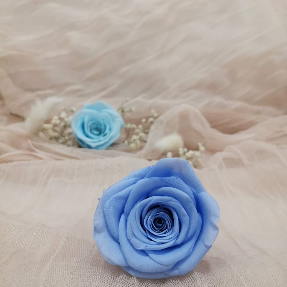 Small preserved roses
